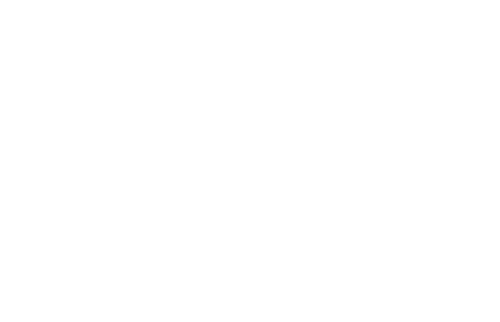 logo_disesa